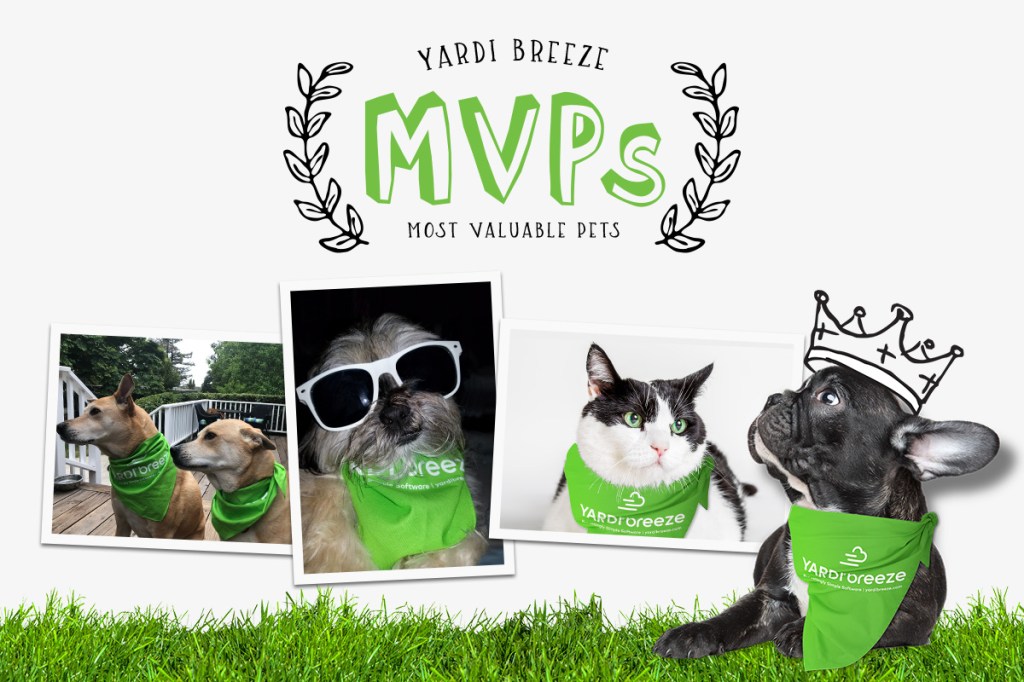 yardi breeze mvp example photos of pets wearing green bandanas