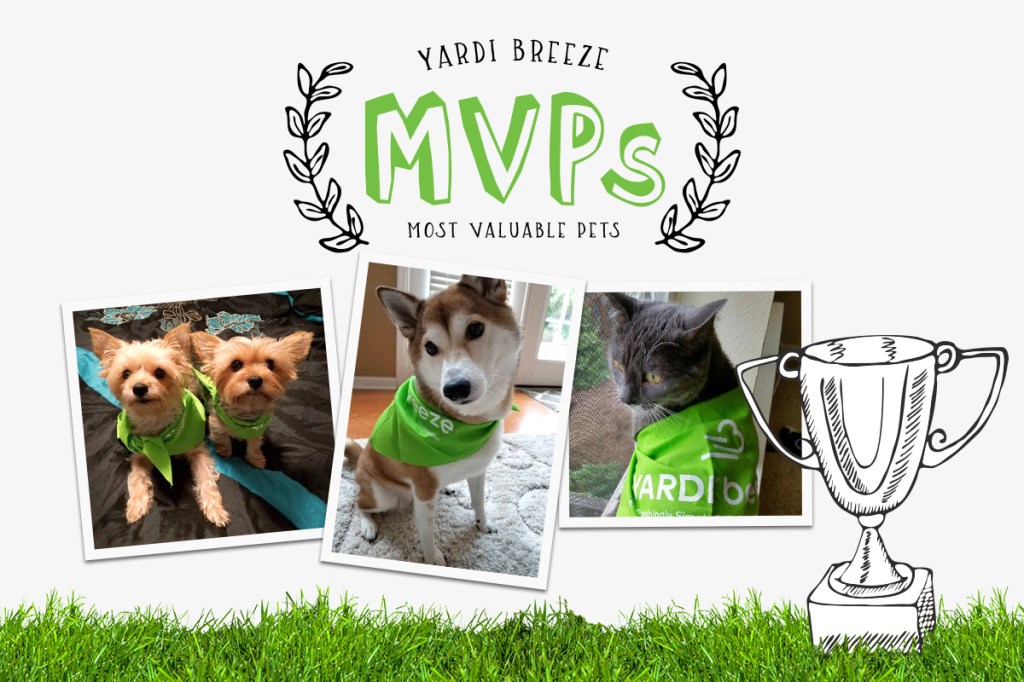 3 yardi breeze mvps pet photos and a trophy