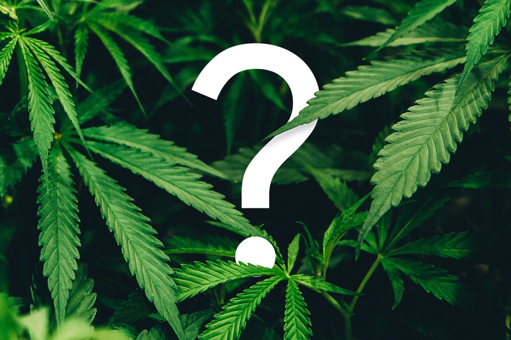 What do property managers need to know about legalized marijuana?
