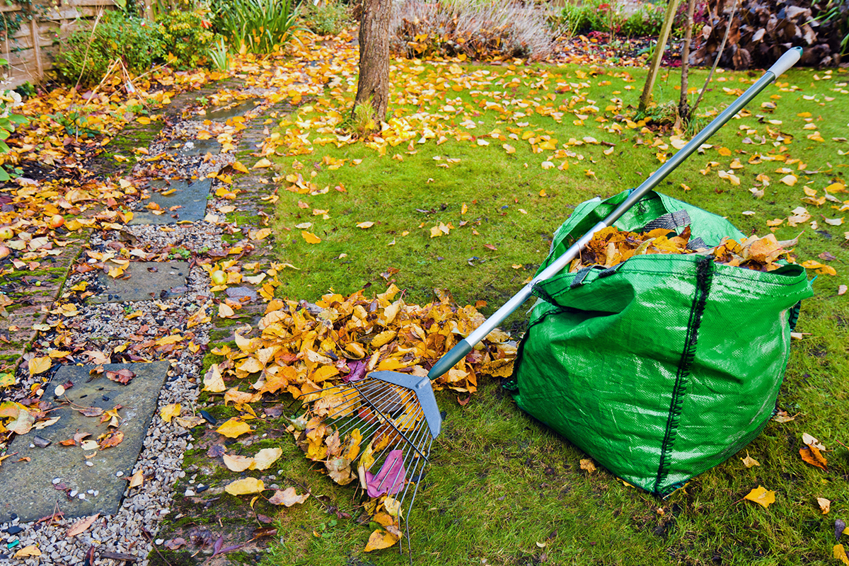 Raking leaves: Fall maintenance for property managers