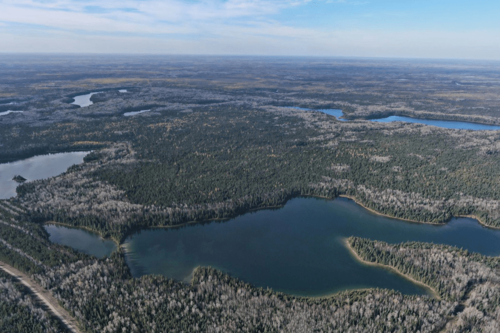 Boreal forests of Canada