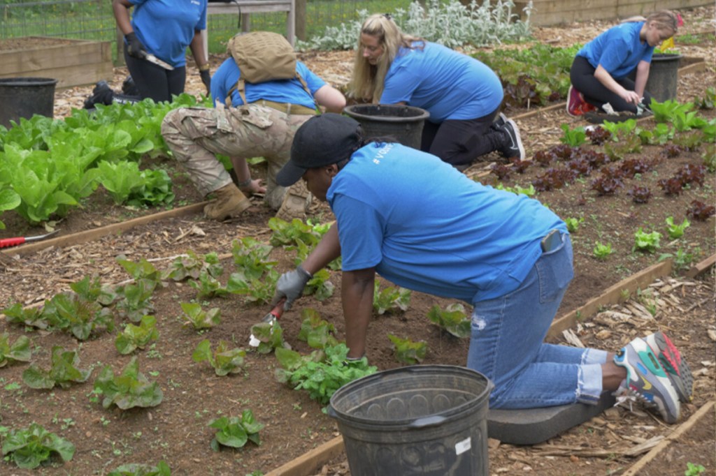 Volunteers working at the Chattahoochee Nature Center